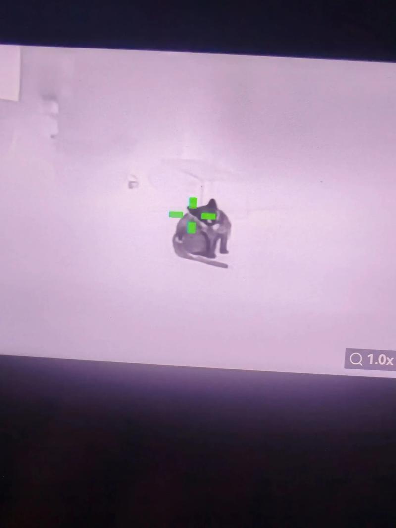 “自由又透着理性”的阔腿裤，是最好把握的精英女性穿搭了吧？【暗区突围免费透视】